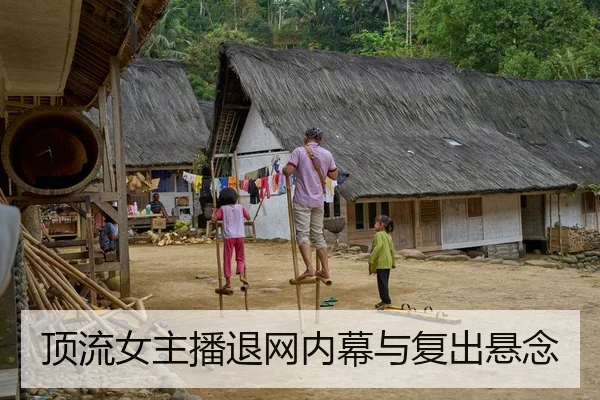 顶流女主播退网内幕与复出悬念